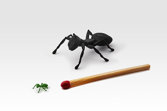 Ameisen in ihren filigranen Strukturen in der Größe eines Zündholzkopfes.