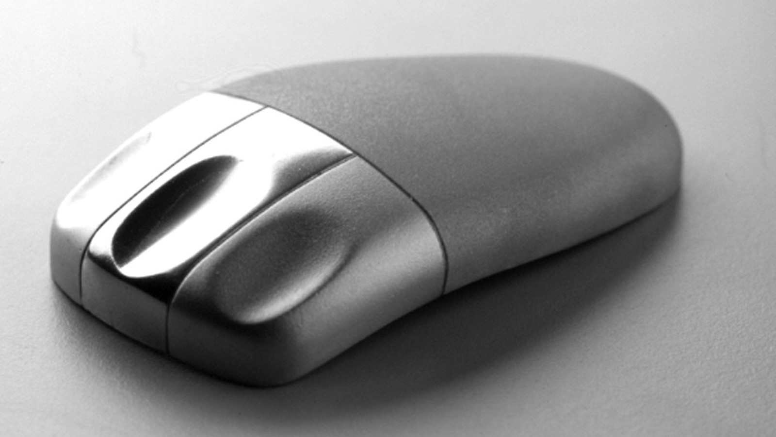 The picture shows a silver mouse with the front part has a glossy finish and the back part has a matte finish
