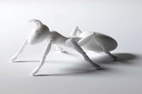 Das Bild zeigt eine weisse raue Ameise welche mit der SLS 3D Druck Technologie gefertigt worden ist.