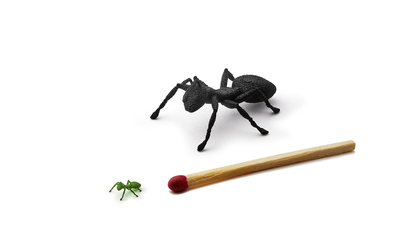 Das Bild verdeutlichte anhand einer zündholzkopfgroßen Ameise was mit der FDR Technologie möglich ist