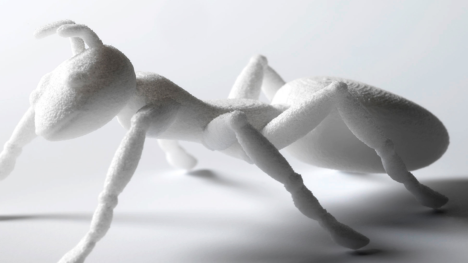 Dieses Bild zeigt anhand einer Ameise wie filigran und genau bereits mit der 3D-Druck Technik gearbeitet werden kann. 