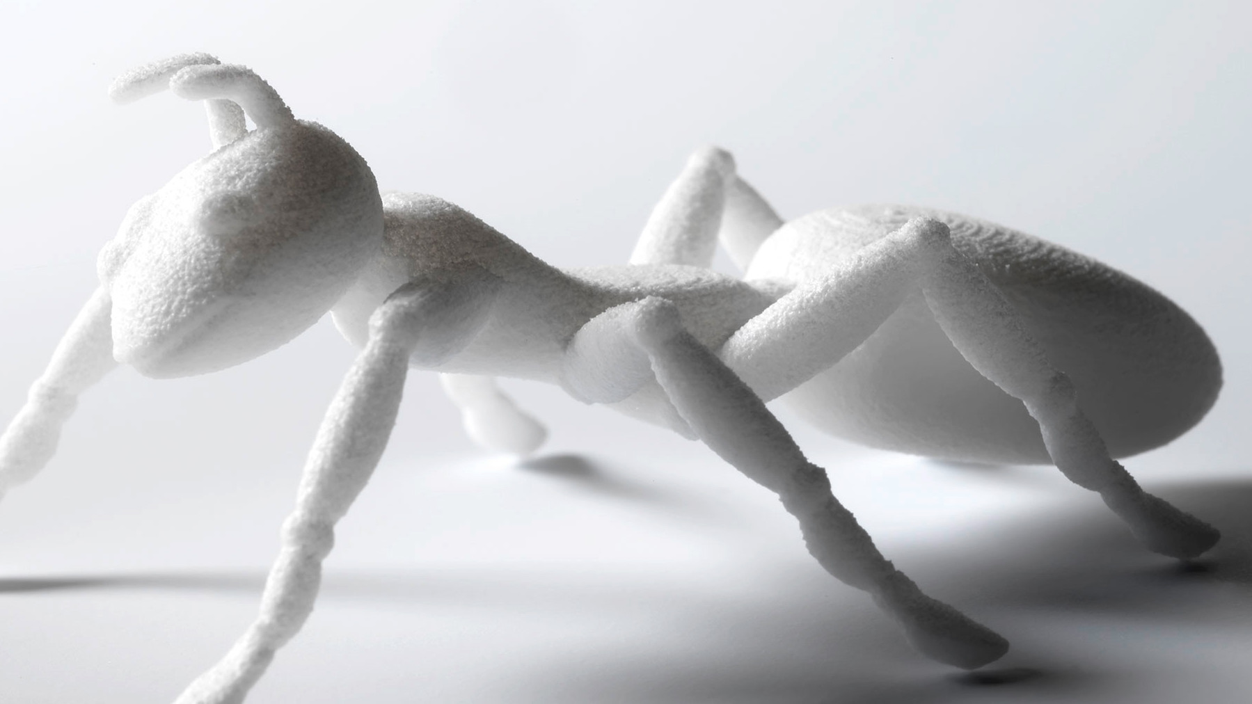Dieses Bild zeigt eine in weiss hergestellt Ameise in 3d Druck Technologie mit Hilfe des SLS Verfahrens.